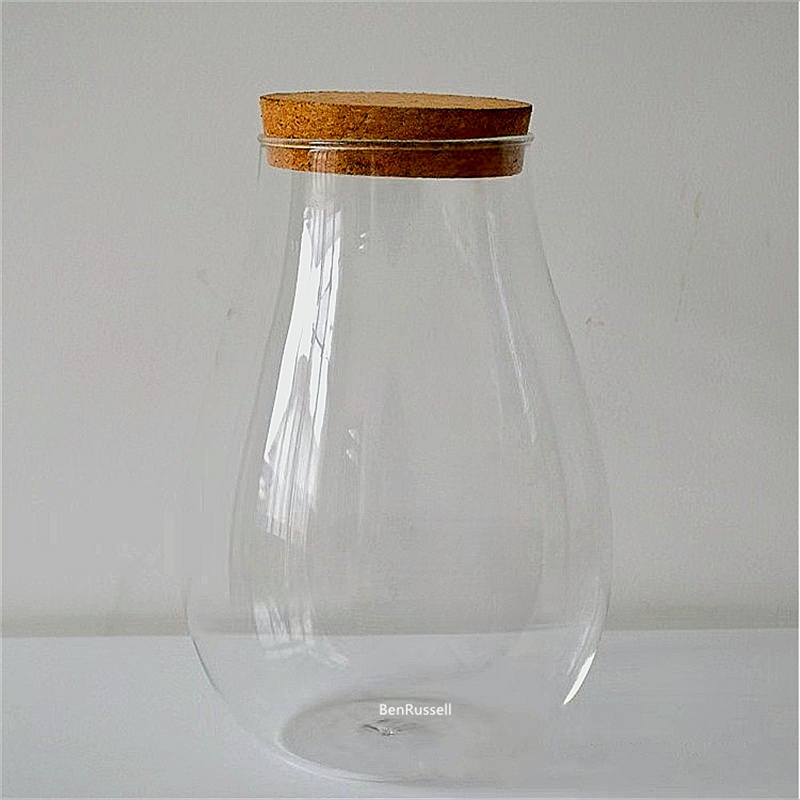 Szklane słoiki w kształcie kro – Terrarium Glass Bottle recenzja i cena