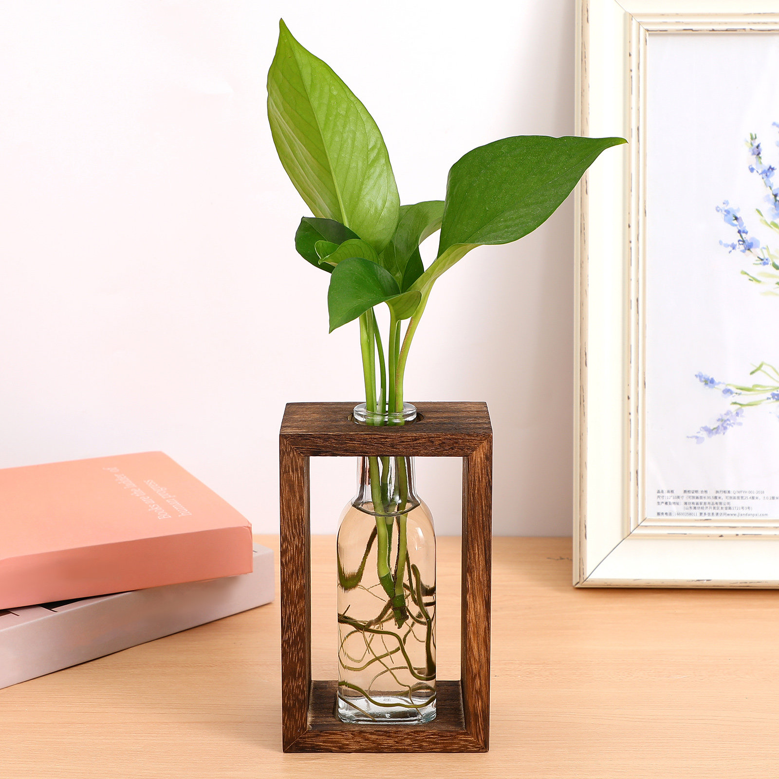 1 zestaw drewnianych terrariów – Terrarium Glass Bottle recenzja i cena
