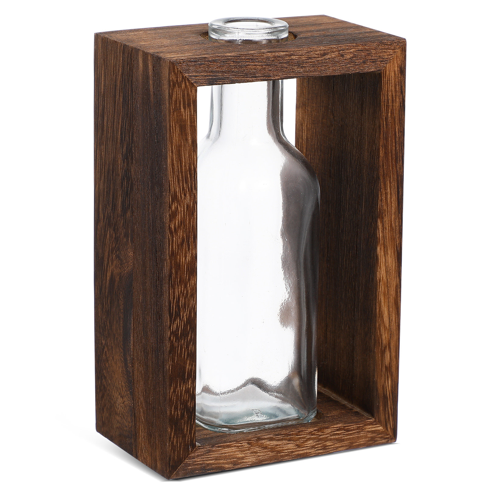 1 zestaw drewnianych terrariów – Terrarium Glass Bottle recenzja i cena