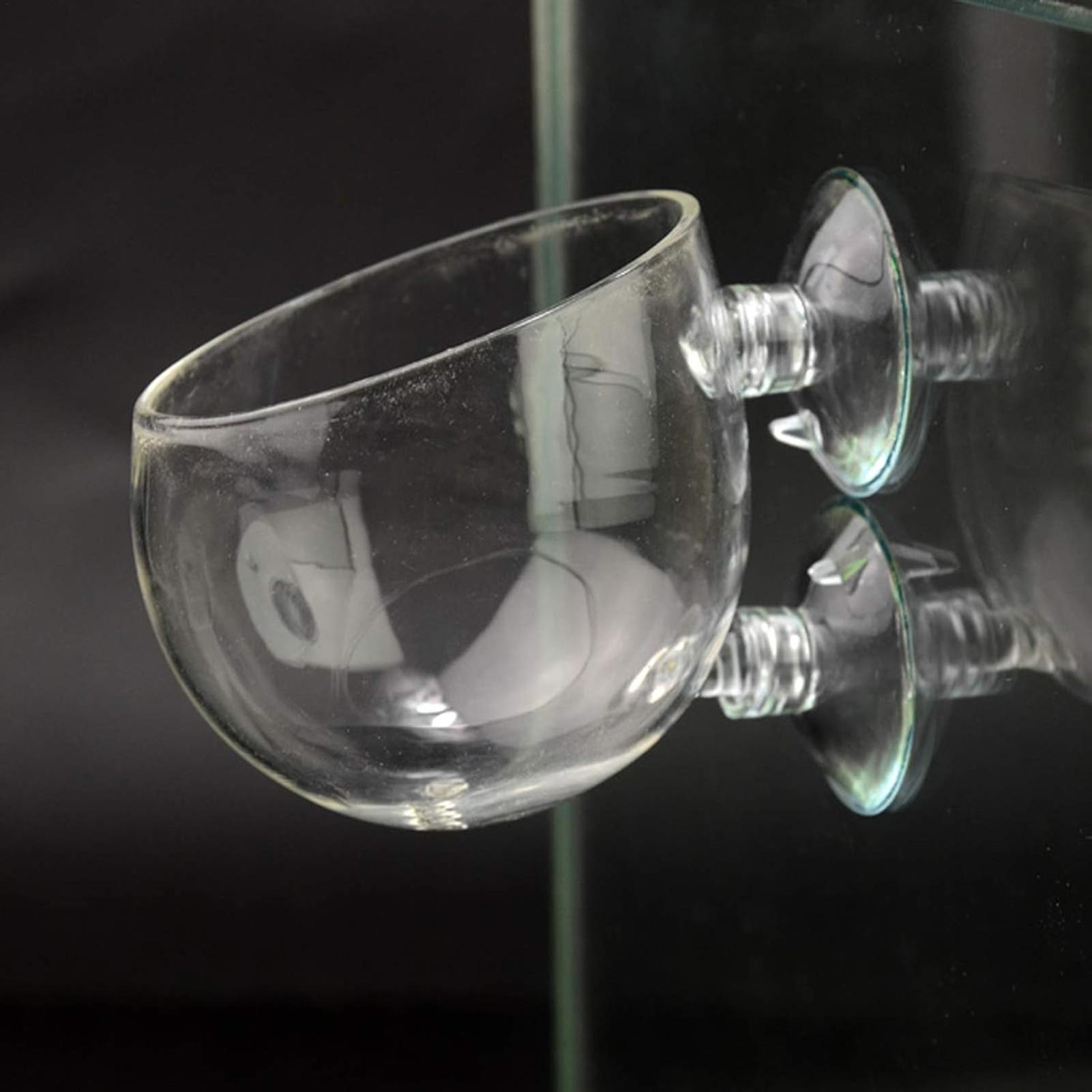 Szklany uchwyt na rośliny akwa – Terrarium Glass Bottle recenzja i cena