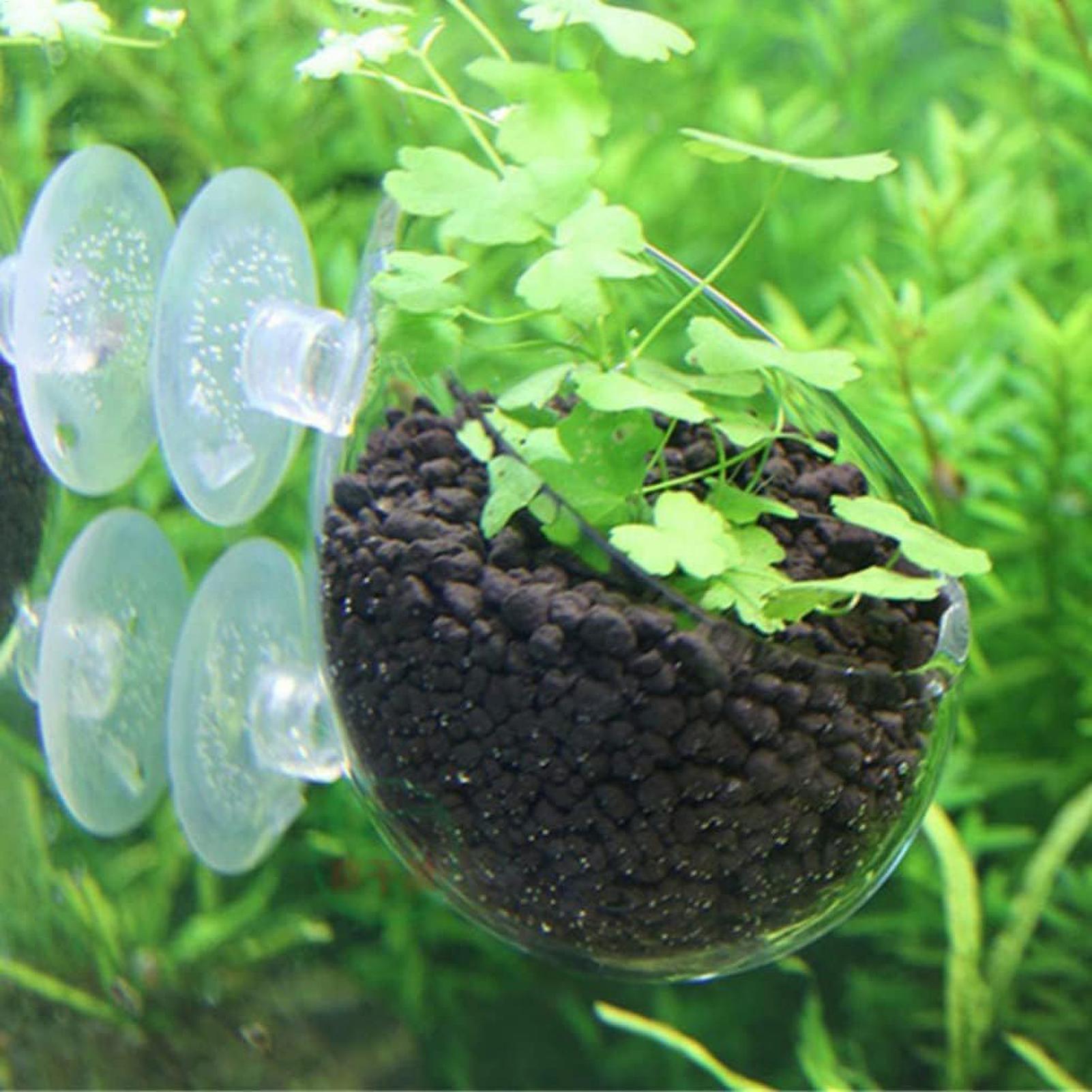 Szklany uchwyt na rośliny akwa – Terrarium Glass Bottle recenzja i cena