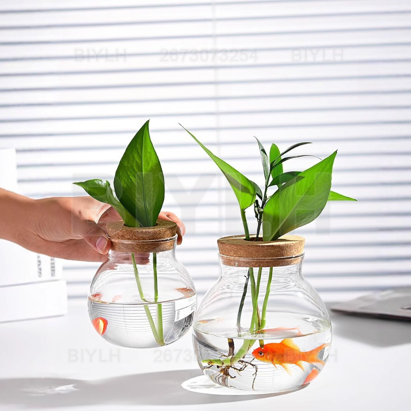 Szklany wazon hydroponiczny z  – Terrarium Glass Bottle recenzja i cena