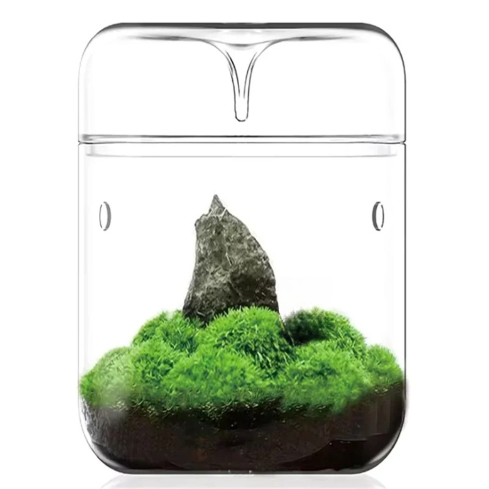 Szklany mikro-terarium na biur – Terrarium Glass Bottle recenzja i cena