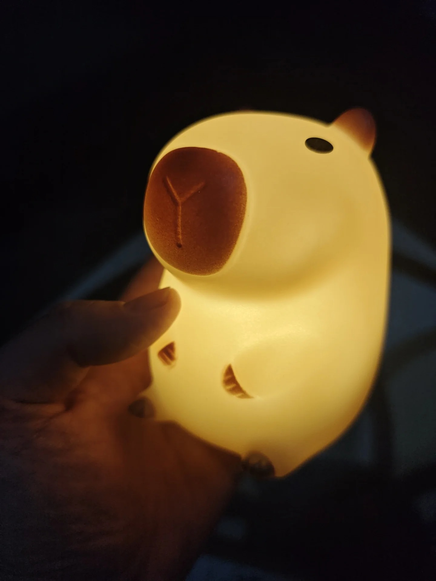 Urocza lampka nocna w kształci – Home Decor On Sale recenzja i cena