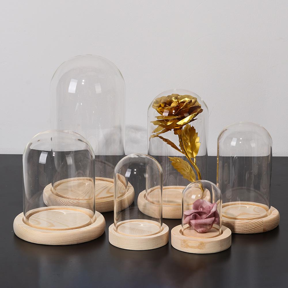 Terrarium na stół, lampki choi – Terrarium Glass Bottle recenzja i cena