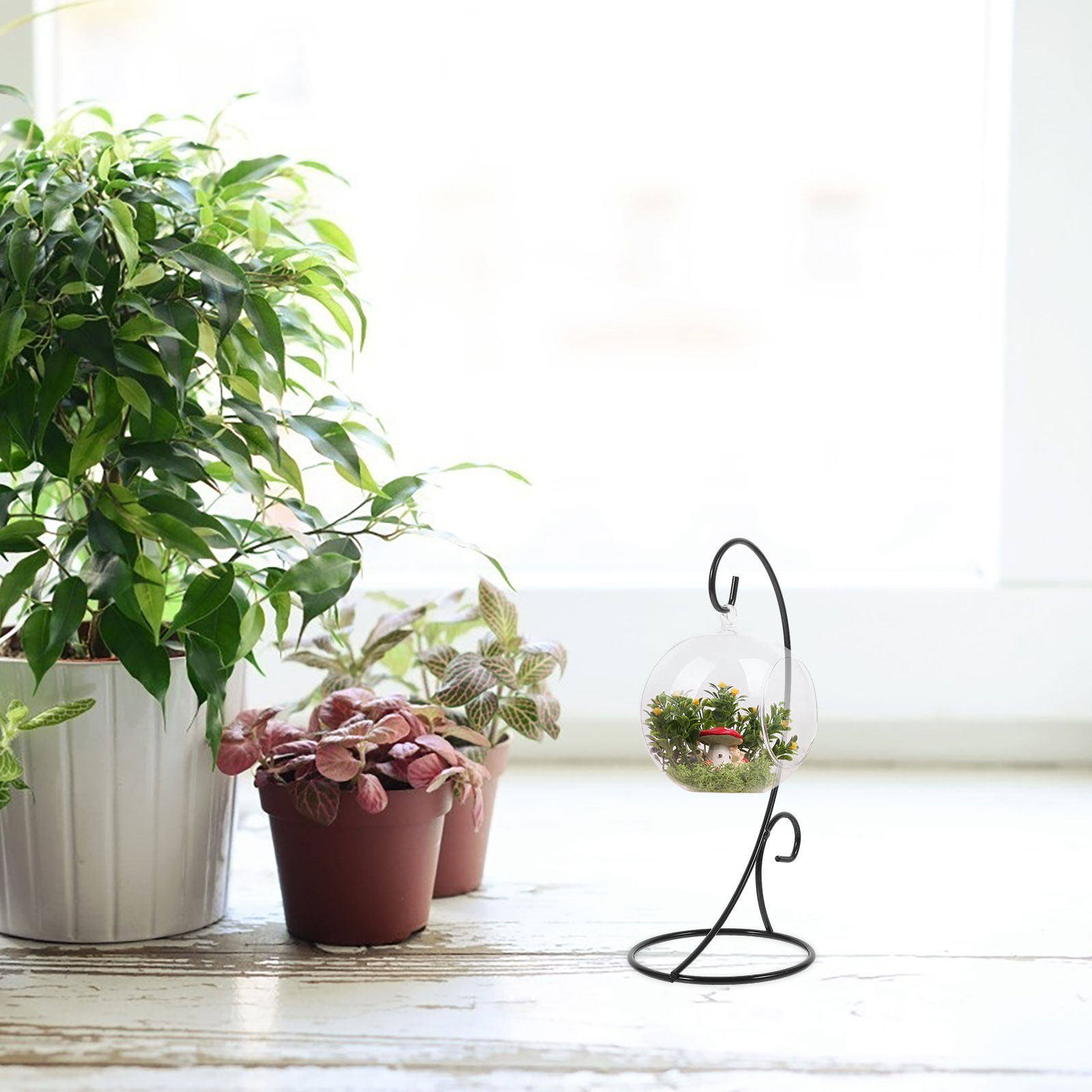 2 szt. żelaznych stojaków na o – Terrarium Glass Bottle recenzja i cena