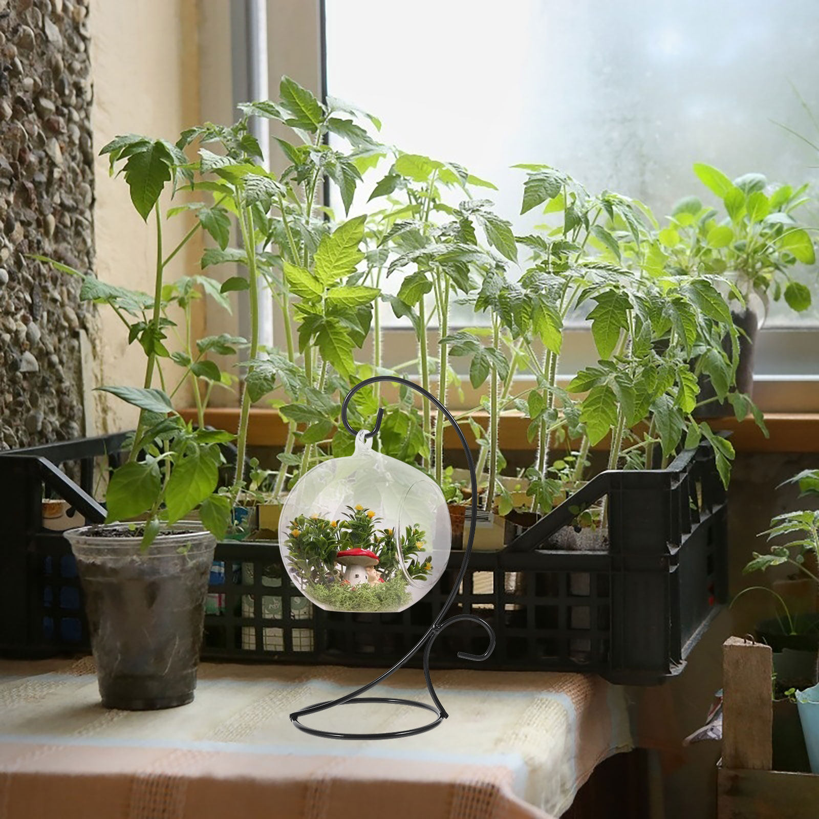 2 szt. żelaznych stojaków na o – Terrarium Glass Bottle recenzja i cena